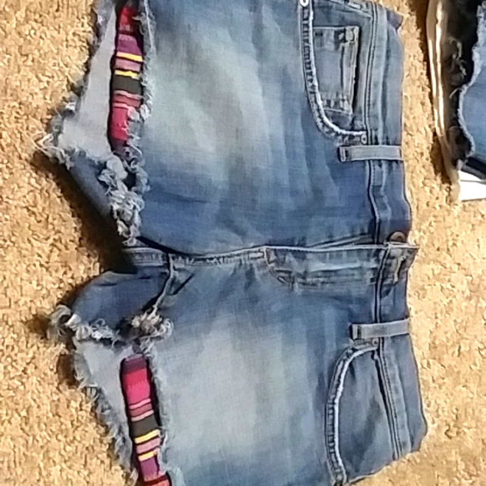 Joe's shorts